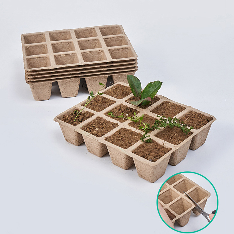 Seed Starter Tray - 5 قطعة 12 حفرة صينية حضانة