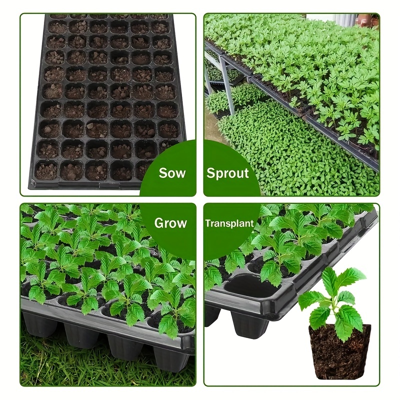 10، صينية الحضانة، إنبات الدفي - مراجعة Seed Starter Tray وسعره