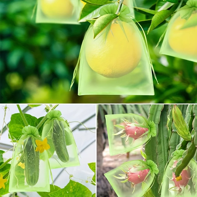 100 قطعة من الأكياس الواقية ال - مراجعة Grow Bag وسعره