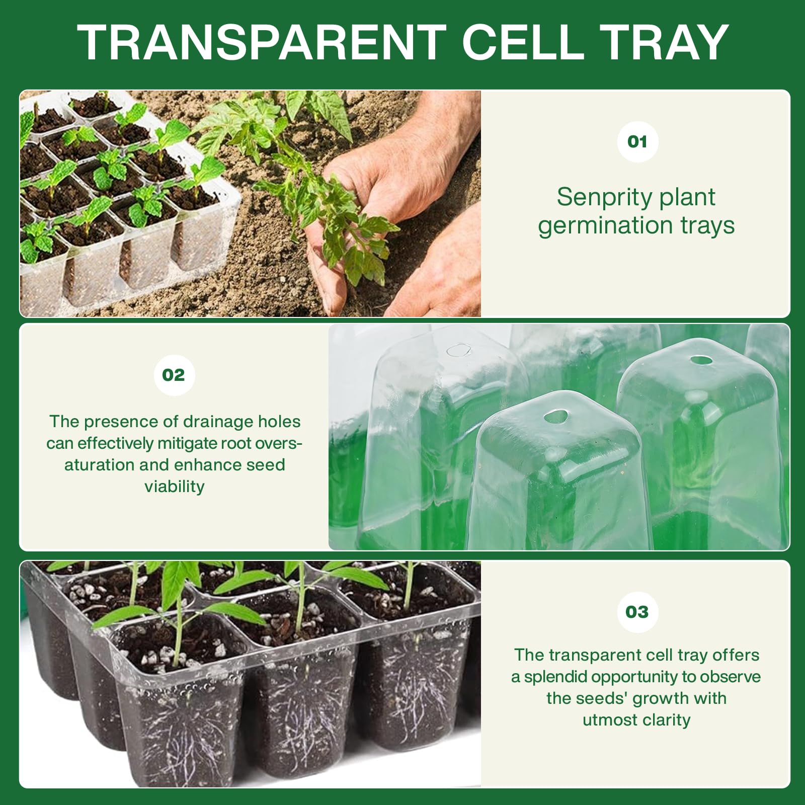 صينية زراعة البذور مع مجموعة إ - مراجعة Seed Starter Tray وسعره