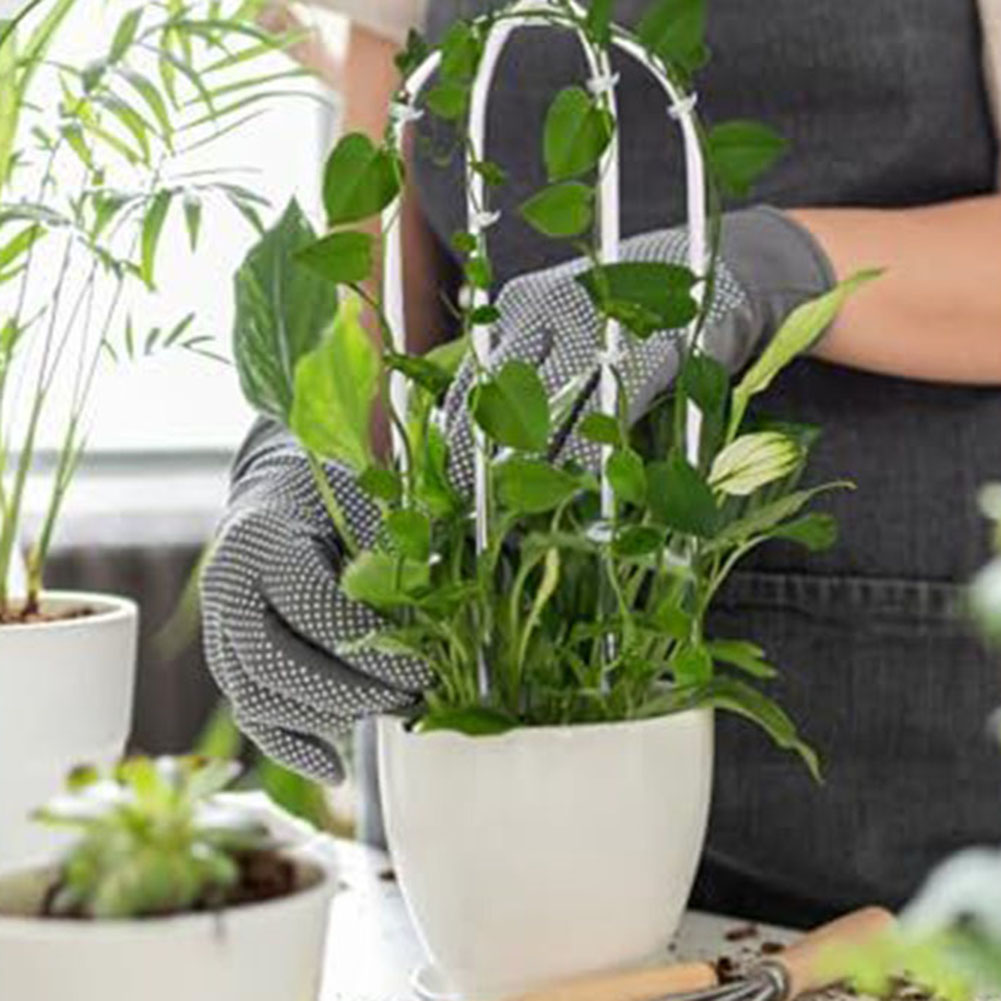 2 قطعة رف النبات الاكريليك على - مراجعة Indoor Herb Garden وسعره