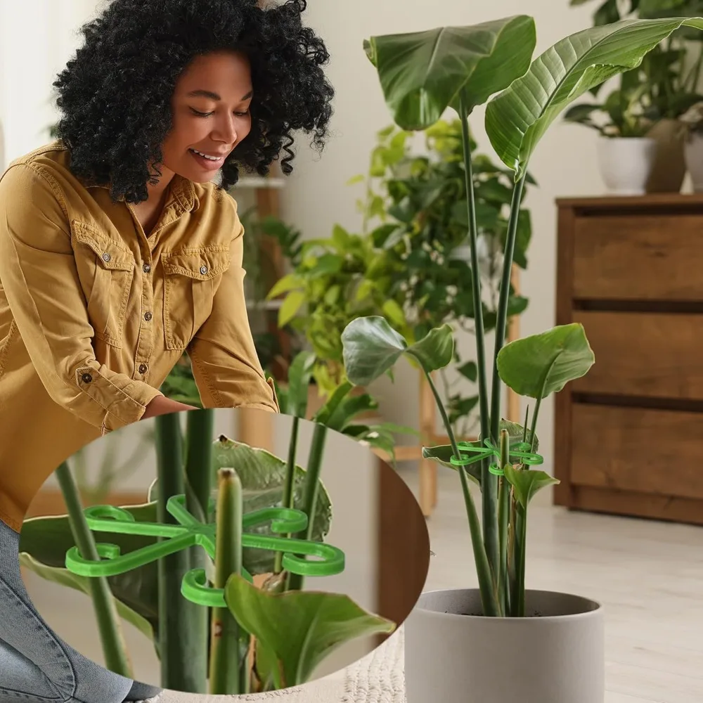 زهرة النبات الجذعية دعم حصص تس - مراجعة Indoor Herb Garden وسعره