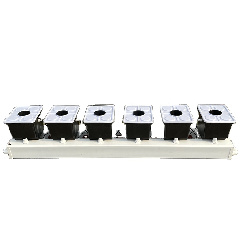 نظام الزراعة المائية بالدلو ال - مراجعة Hydroponic Kit وسعره