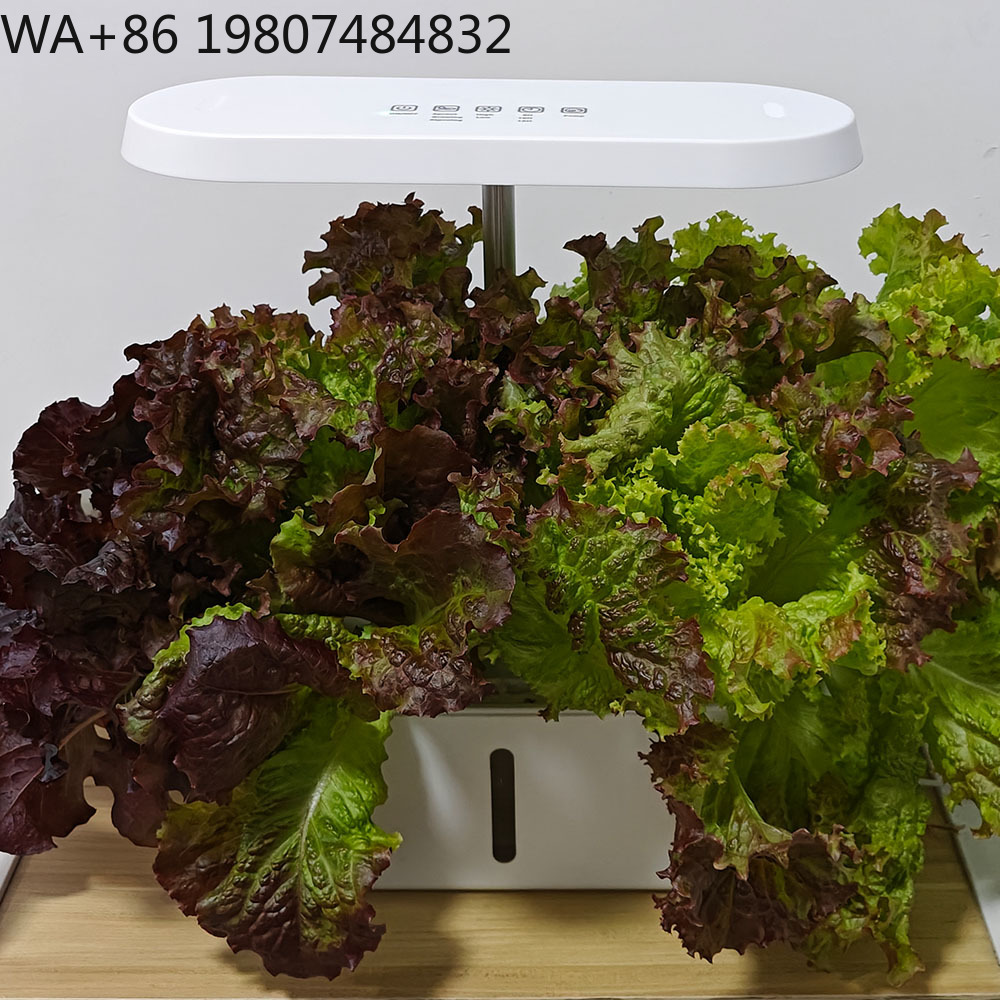 طقم زراعة مائية ذكي بـ 8 فتحات - مراجعة Hydroponic Kit وسعره