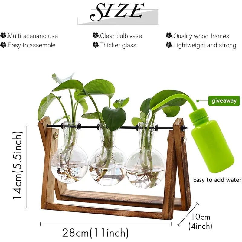 طقم تيراريوم نباتات مائية بحام - مراجعة Hydroponic Kit وسعره
