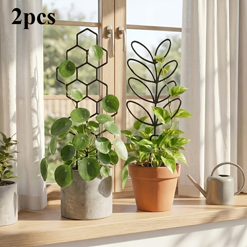 1/2 حزمة من دعامات النباتات ال - مراجعة Indoor Herb Garden وسعره