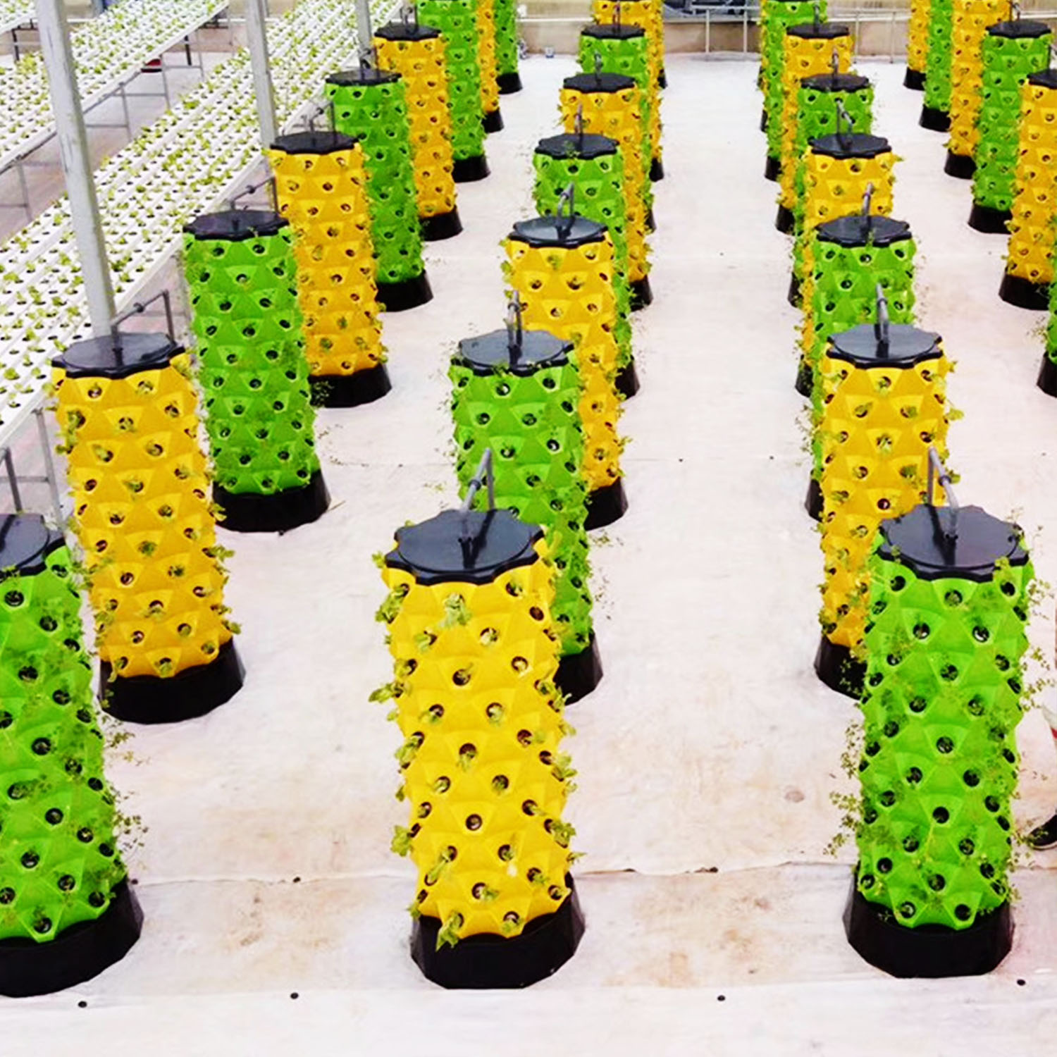نظام حديقة عمودية هيدروبونية ج - مراجعة Hydroponic Kit وسعره
