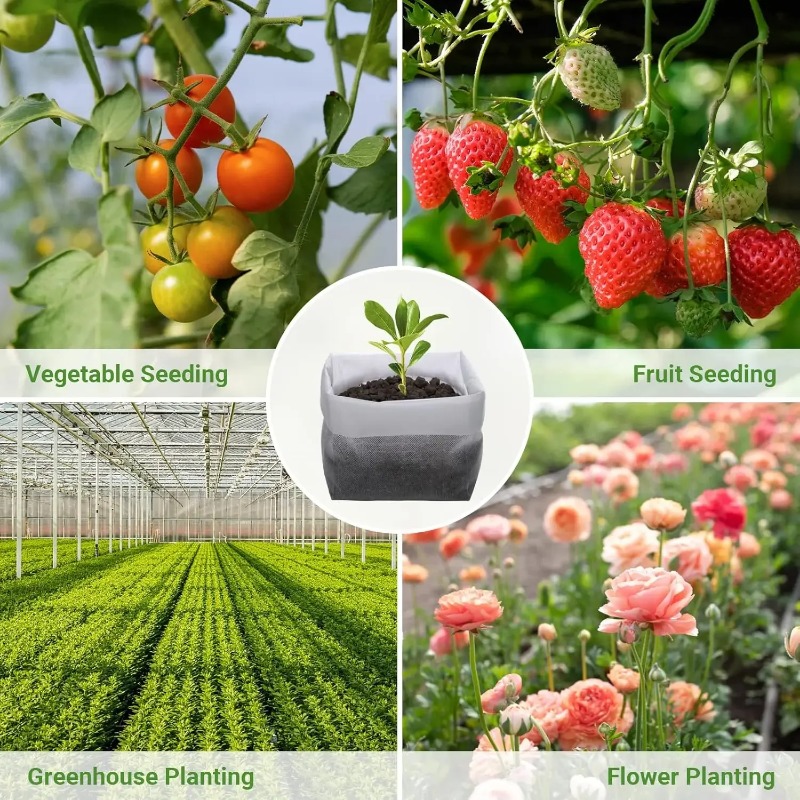 أكياس زراعة نباتات من قماش غير - مراجعة Grow Bag وسعره