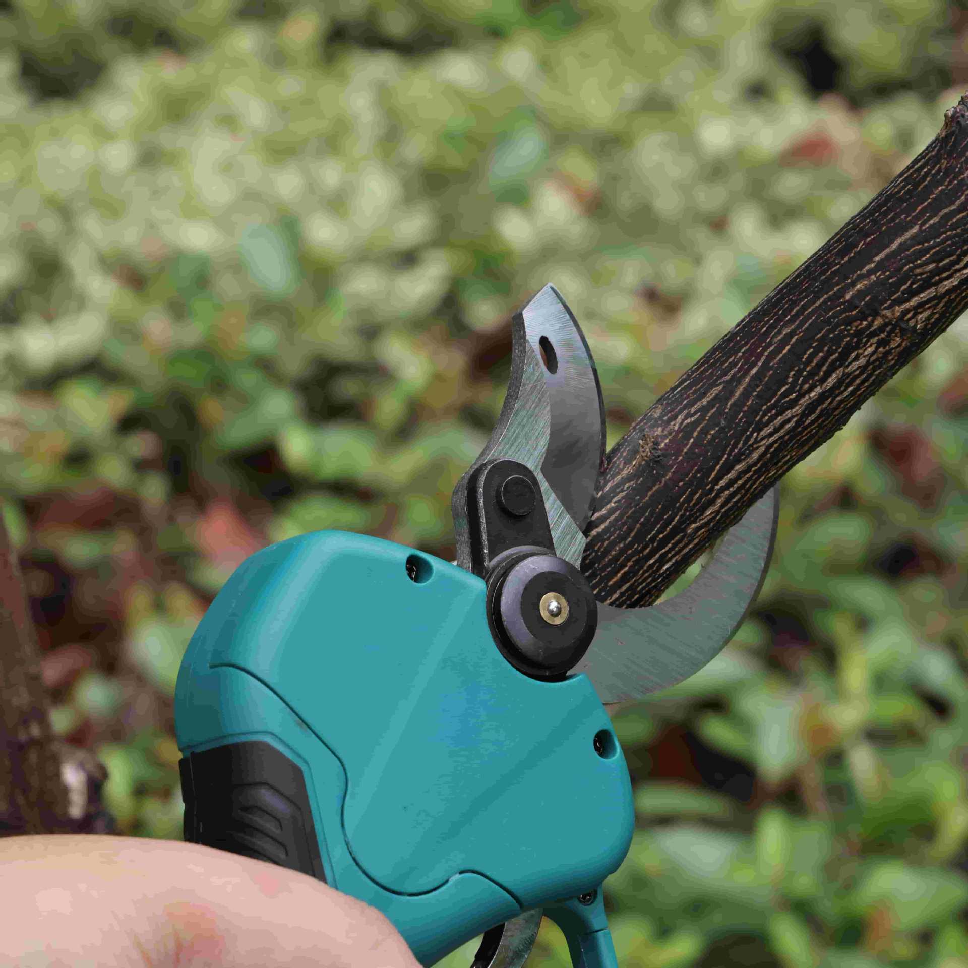 مقص تقليم الحدائق عالي الارتفا - مراجعة Pruning Shears وسعره