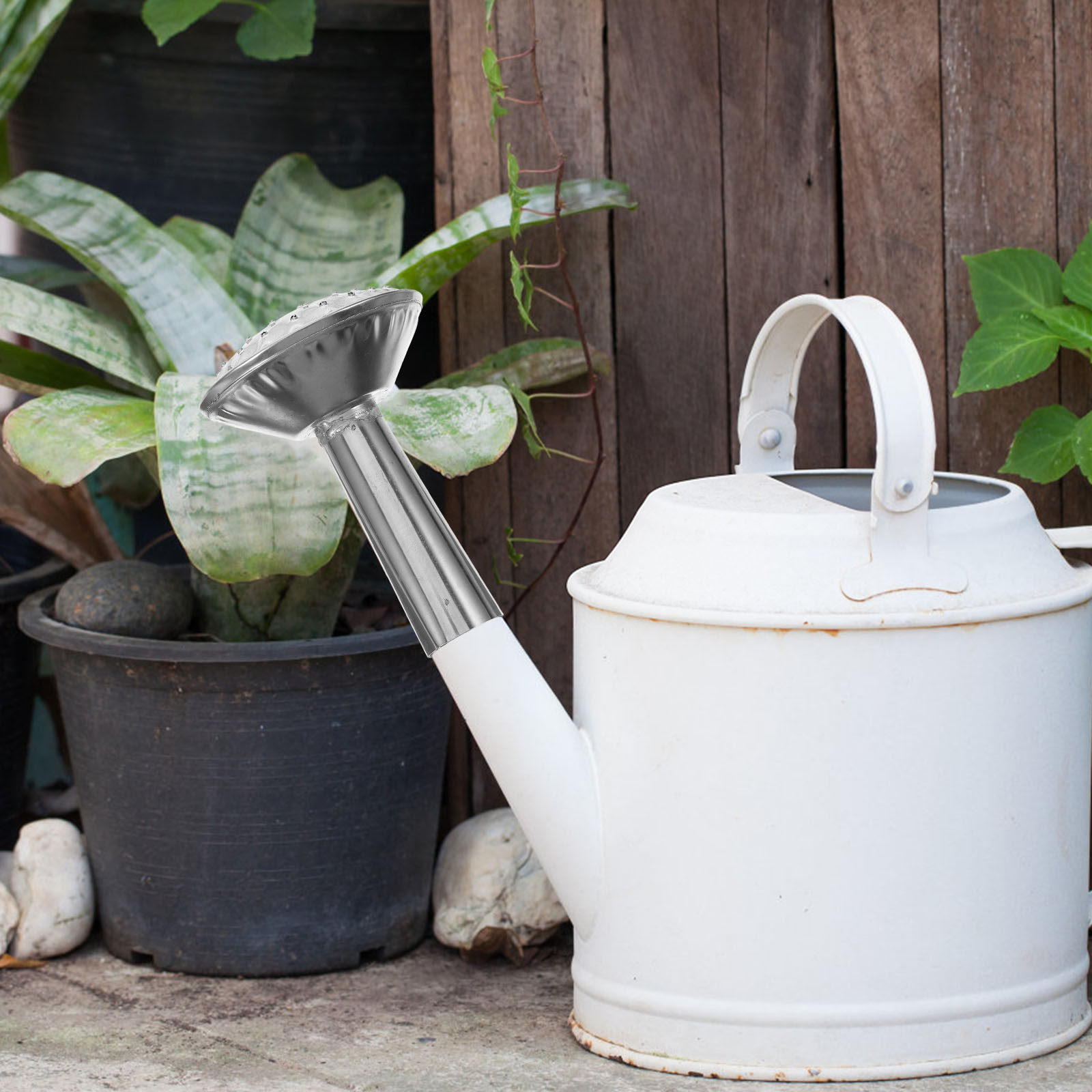 رأس رشاش ماء من الفولاذ المقاو - مراجعة Watering Can وسعره