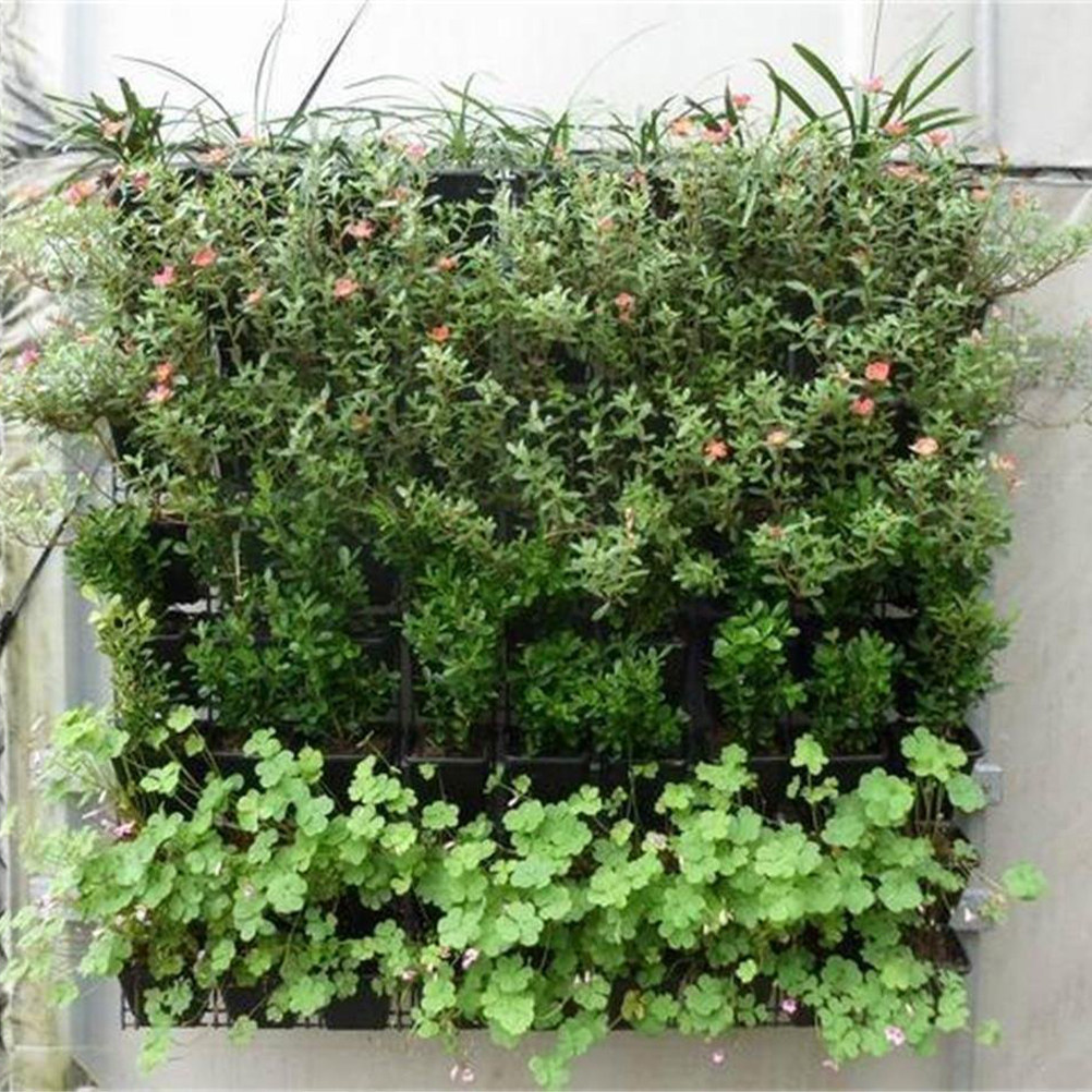 حقيبة زراعة عمودية معلقة على ا - مراجعة Indoor Herb Garden وسعره