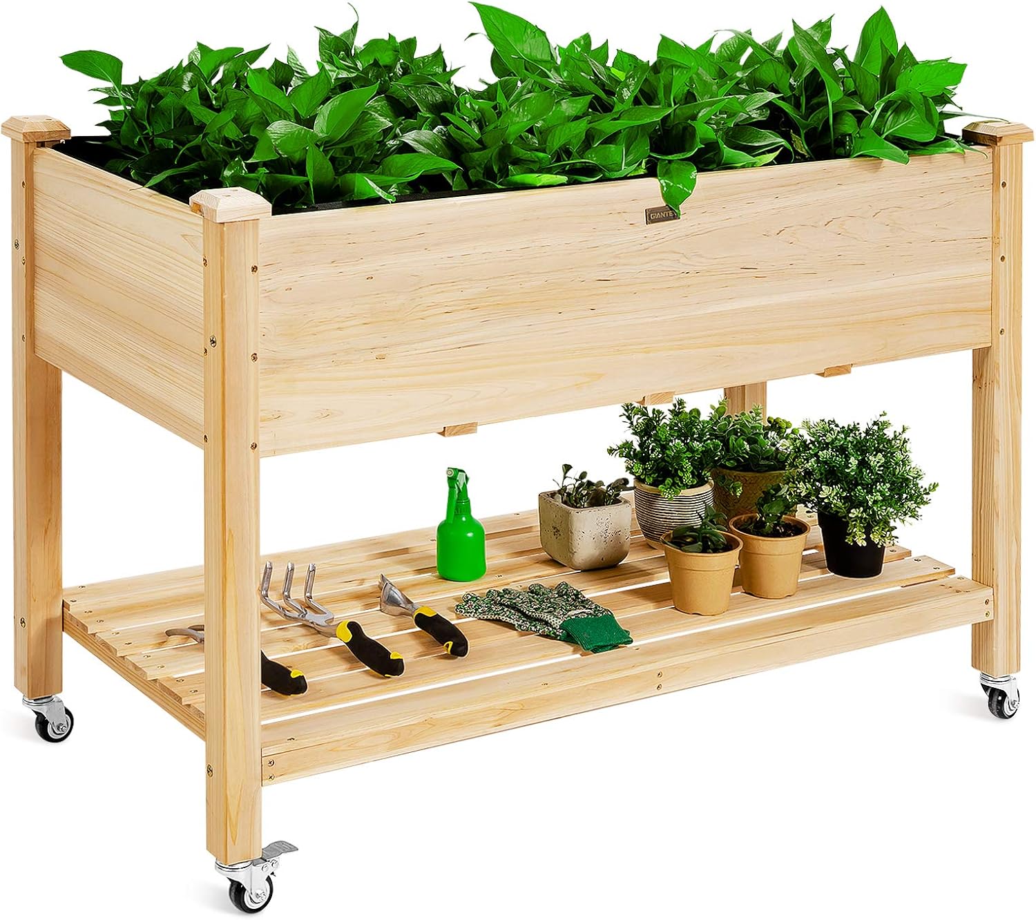 حوض زراعة خشبي مرتفع على عجلات - مراجعة Raised Garden Bed وسعره