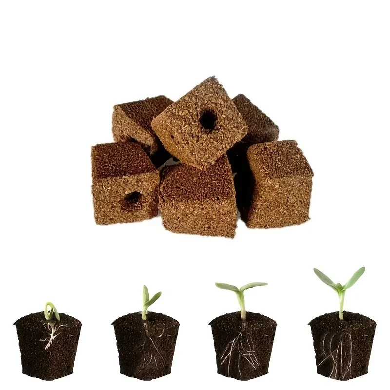مجموعة إسفنجية لبدء زراعة الشت - مراجعة Hydroponic Kit وسعره