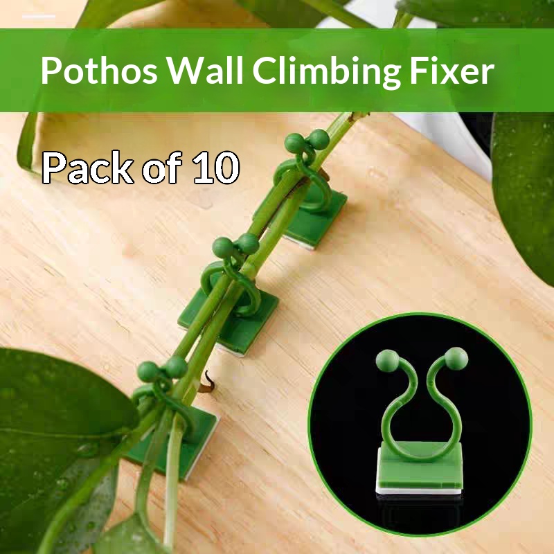 مشابك تثبيت النباتات المتسلقة  - مراجعة Indoor Herb Garden وسعره