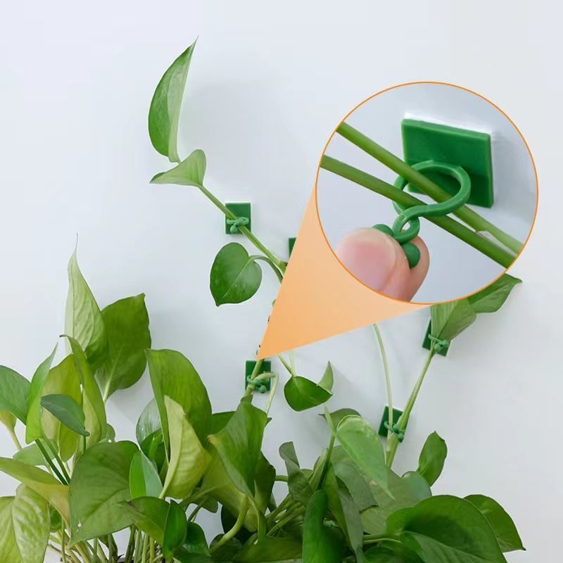 مشابك تثبيت النباتات المتسلقة  - مراجعة Indoor Herb Garden وسعره