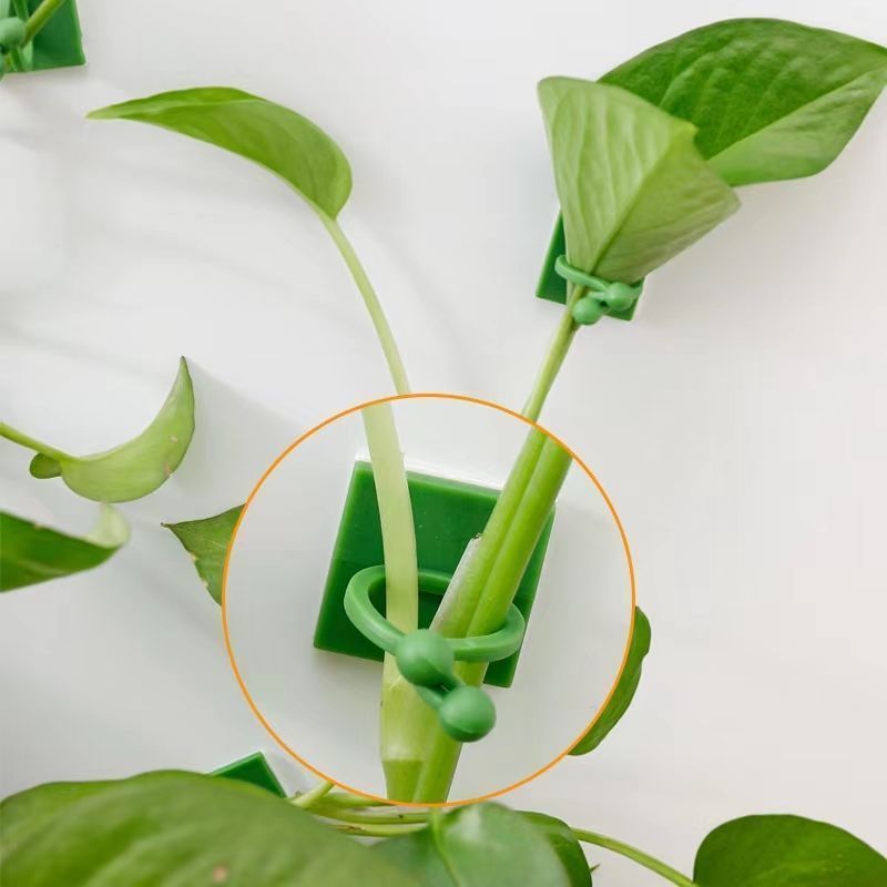 مشابك تثبيت النباتات المتسلقة  - مراجعة Indoor Herb Garden وسعره