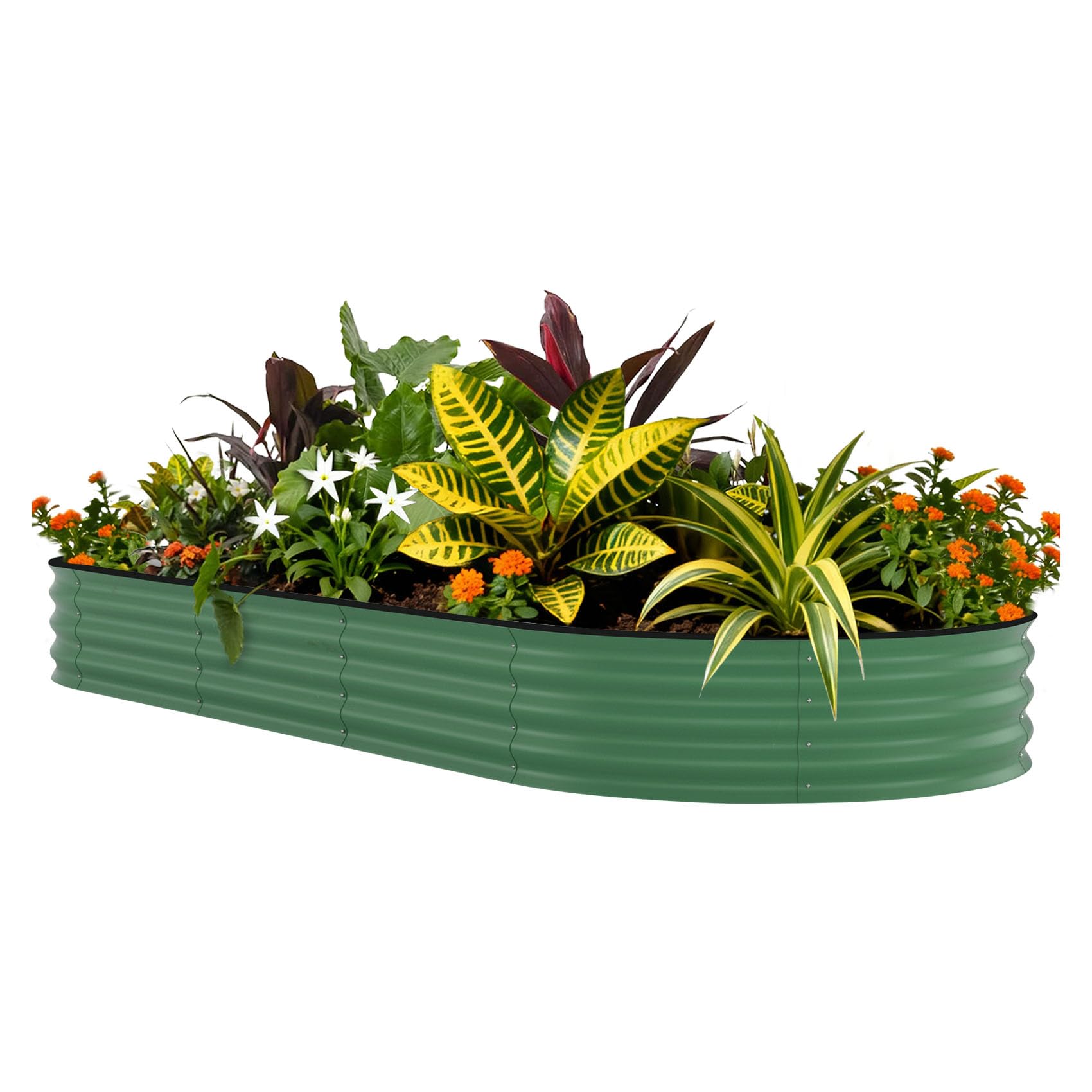 حوض زراعة مرتفع مجلفن مقاس 8×4 - مراجعة Raised Garden Bed وسعره
