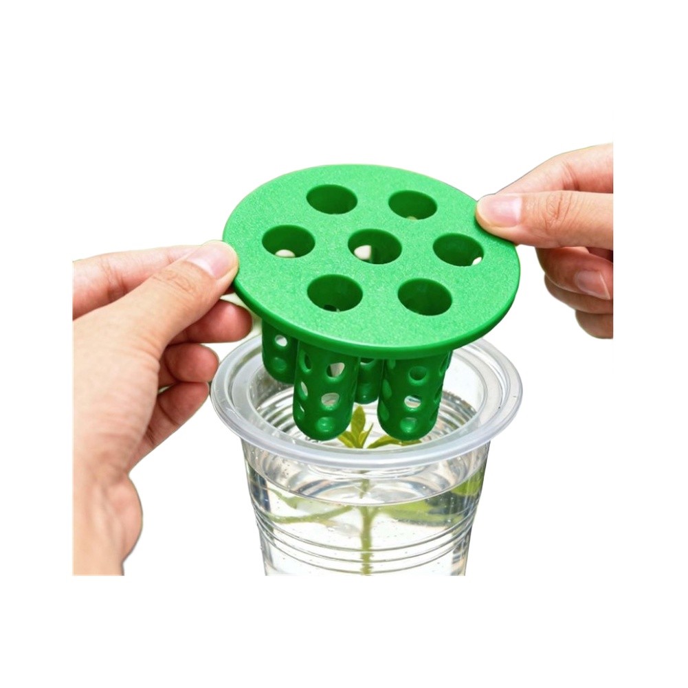 4 قطع من مجموعات إعادة زراعة ا - مراجعة Hydroponic Kit وسعره