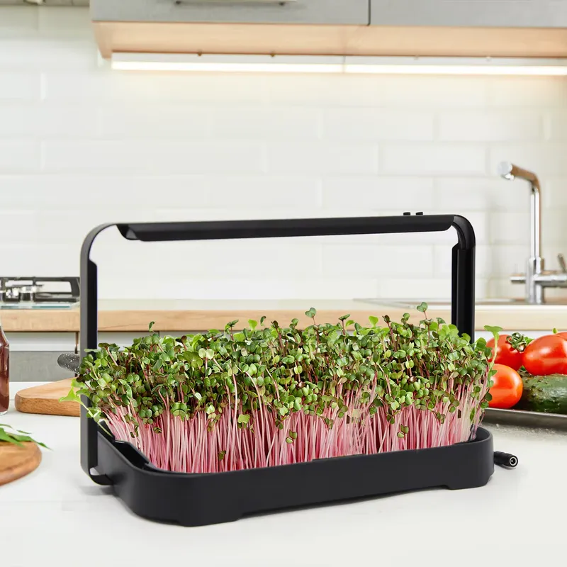 صينية زراعة مائية داخلية، نظام - مراجعة Hydroponic Kit وسعره
