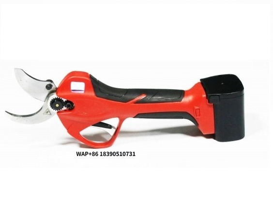 مقص حدائق كهربائي محمول من كين - مراجعة Pruning Shears وسعره