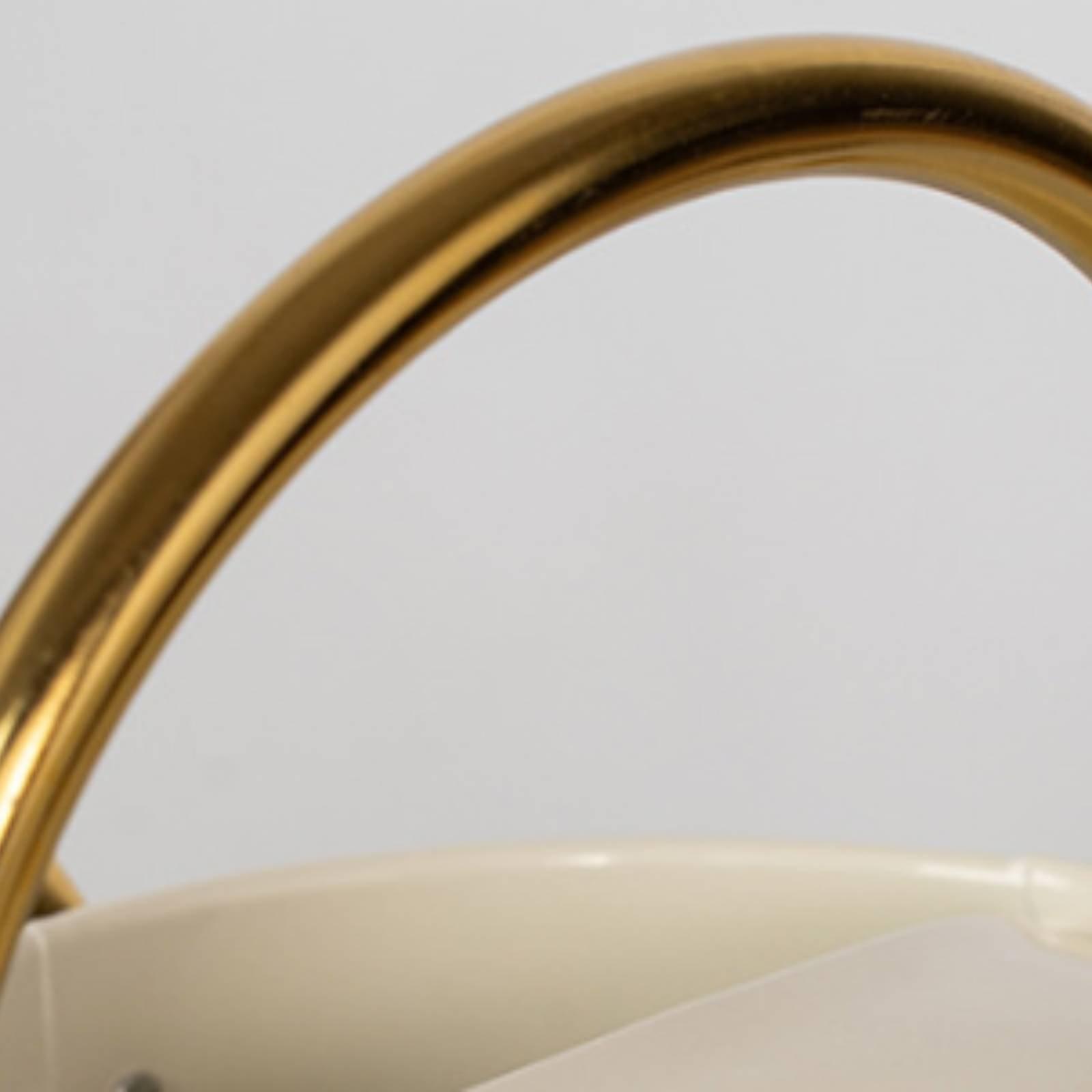 إبريق سقي معدني طويل الفوهة ما - مراجعة Watering Can وسعره