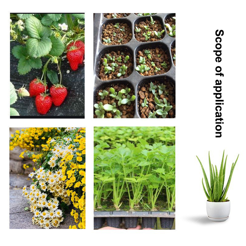صواني شتلات بلاستيكية سوداء لل - مراجعة Seed Starter Tray وسعره